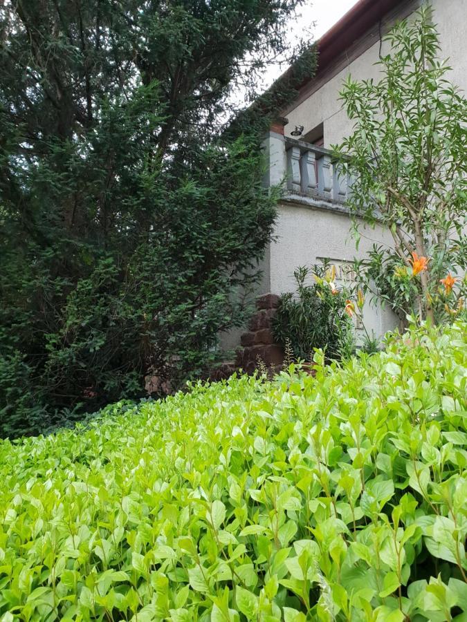 Kasza Villa Balatonfüred Exteriér fotografie