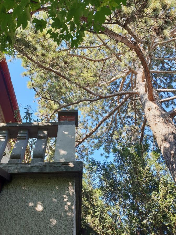 Kasza Villa Balatonfüred Exteriér fotografie