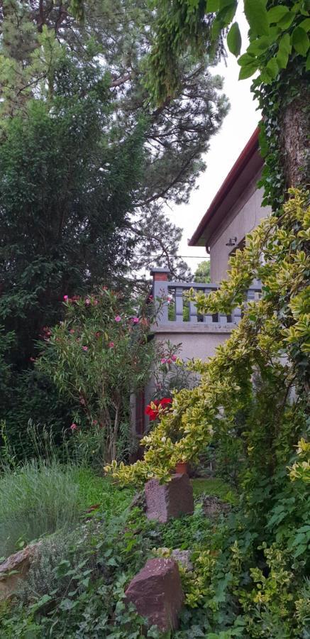 Kasza Villa Balatonfüred Exteriér fotografie