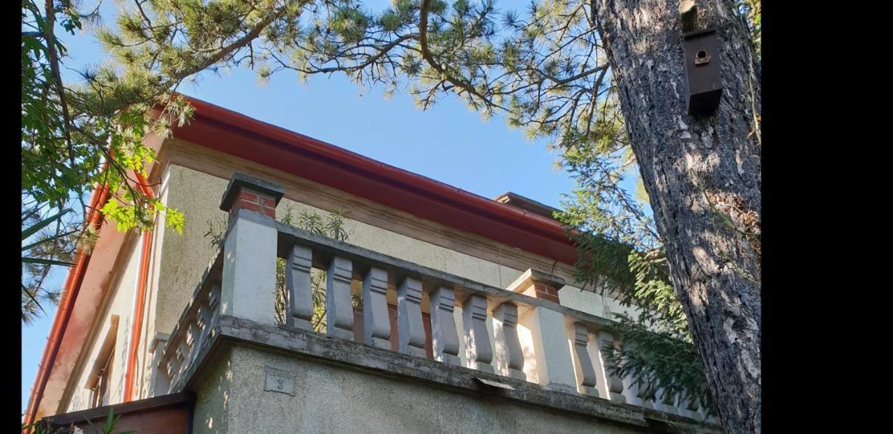 Kasza Villa Balatonfüred Exteriér fotografie
